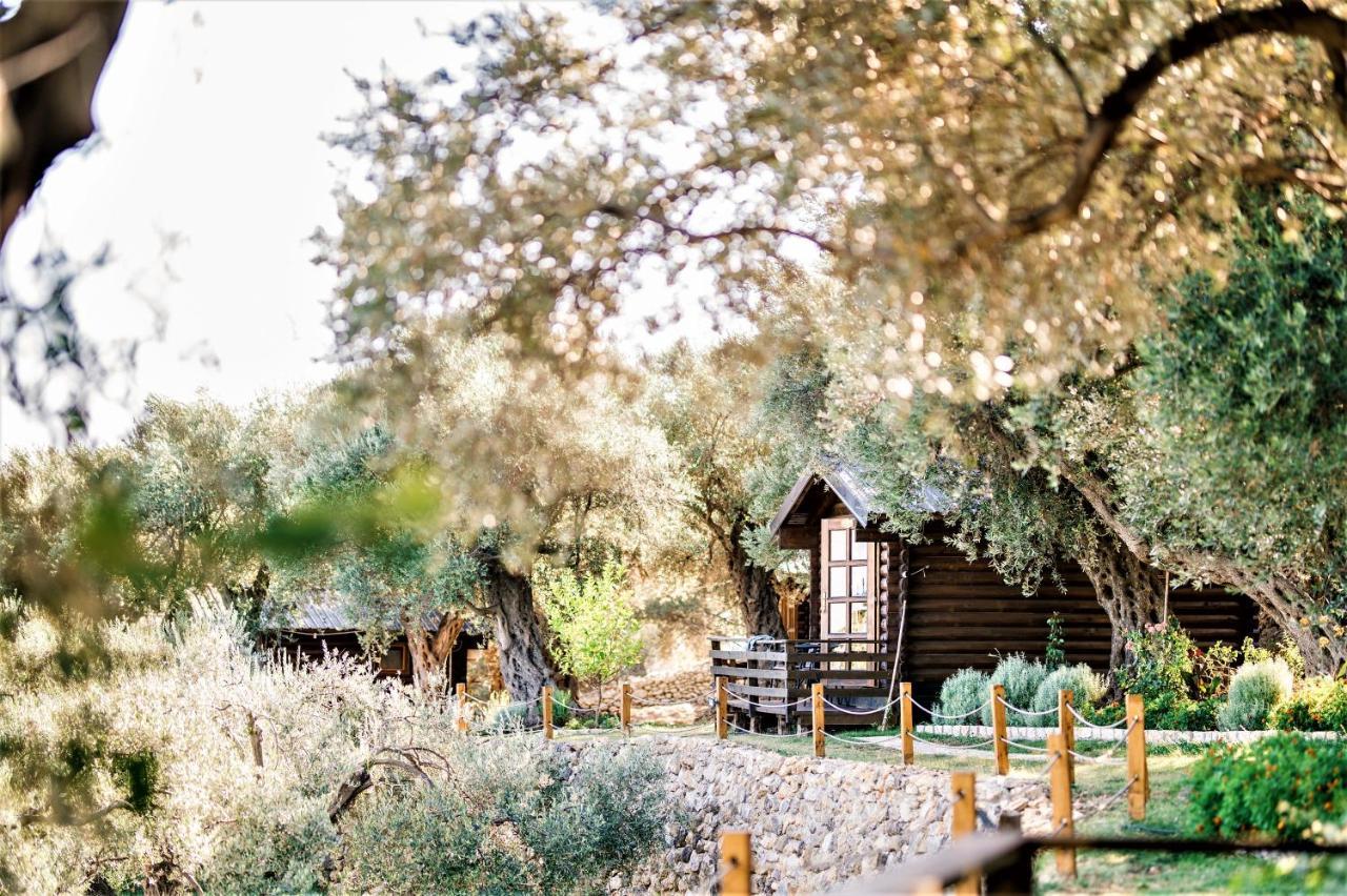 Holiday Park Olive Tree Ulcinj Kültér fotó
