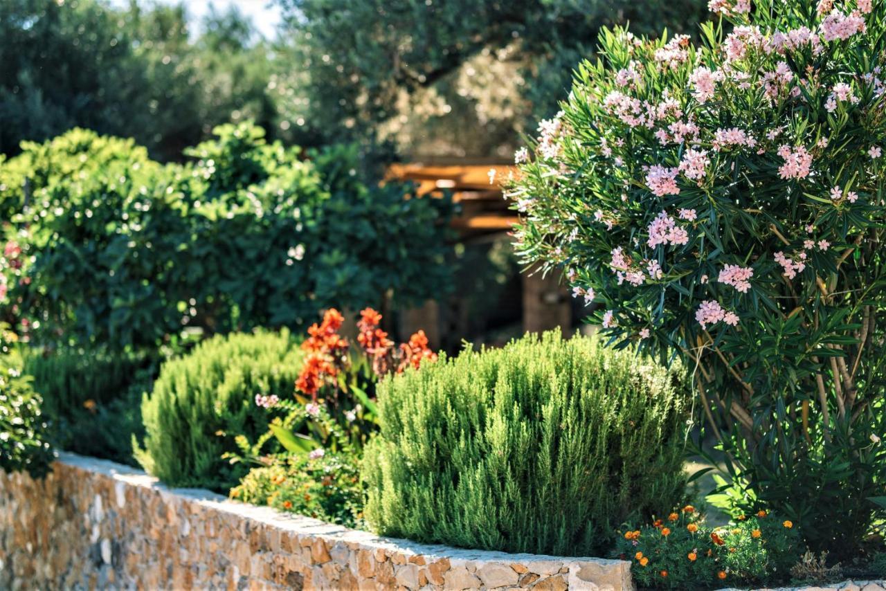 Holiday Park Olive Tree Ulcinj Kültér fotó