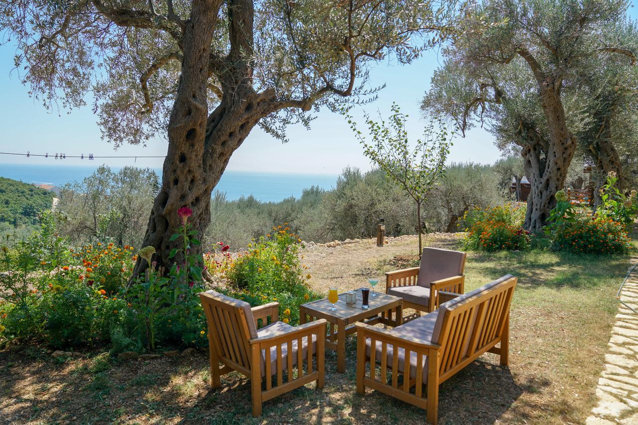 Holiday Park Olive Tree Ulcinj Kültér fotó