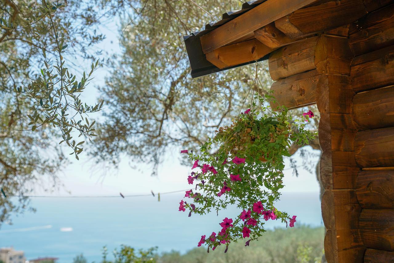 Holiday Park Olive Tree Ulcinj Kültér fotó